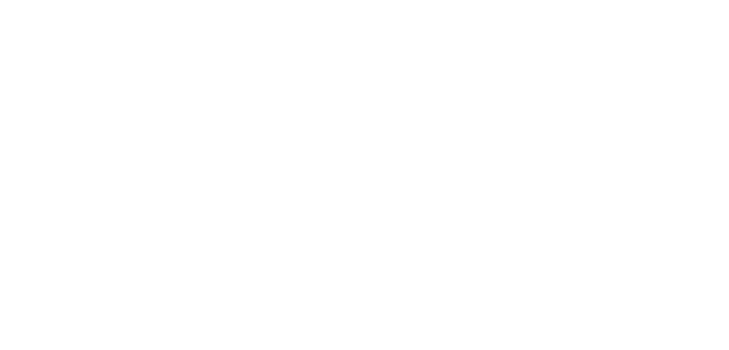 Camada_1